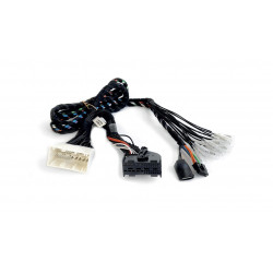 APBMW ReAMP 2