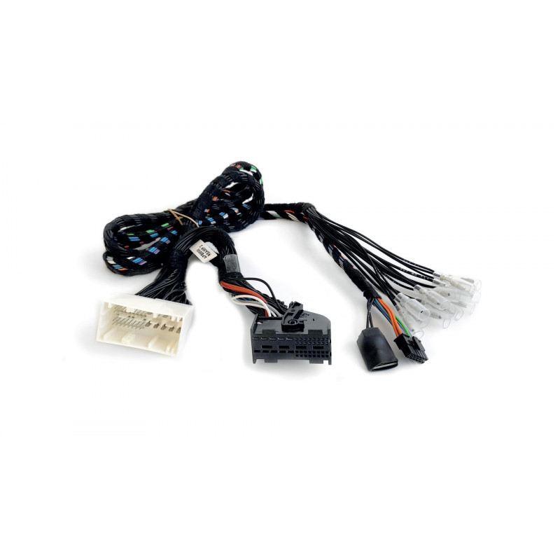 APBMW ReAMP 2 APBMW ReAMP 2