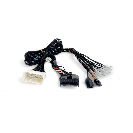 APBMW ReAMP 2