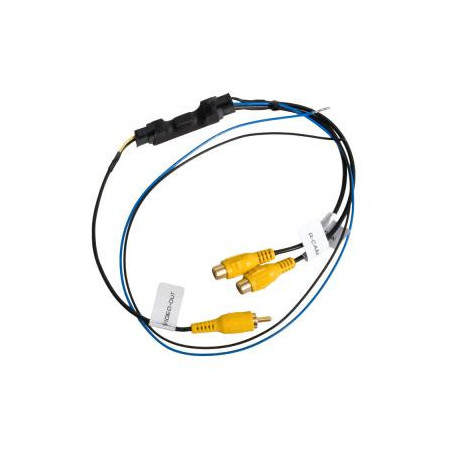 SW-V2X1-RCA
