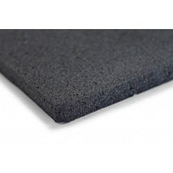 Biplast 10