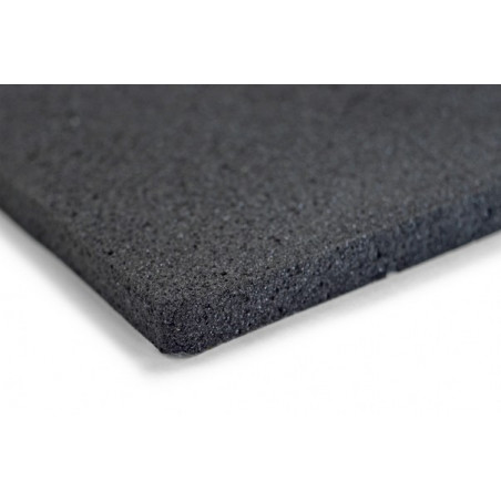 Biplast 10