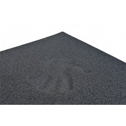 Biplast 10